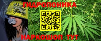 кокс Дубна